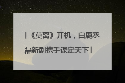 《莫离》开机，白鹿丞磊新剧携手谋定天下