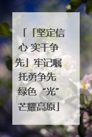 「坚定信心 实干争先」牢记嘱托勇争先 绿色“光”芒耀高原