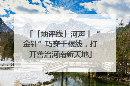 「地评线」河声丨“金针”巧穿千根线，打开善治河南新天地