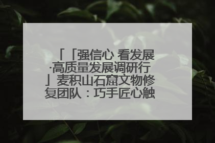 「强信心 看发展·高质量发展调研行」麦积山石窟文物修复团队：巧手匠心触摸“光阴的故事”
