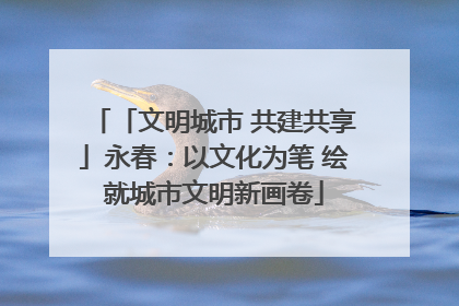 「文明城市 共建共享」永春：以文化为笔 绘就城市文明新画卷