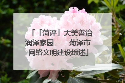 「菏评」大美善治润泽家园——菏泽市网络文明建设综述