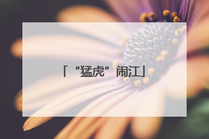 “猛虎”闹江