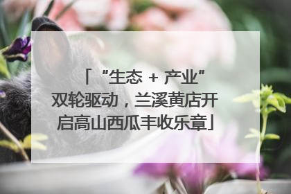 “生态 + 产业”双轮驱动，兰溪黄店开启高山西瓜丰收乐章