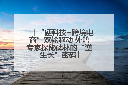 “硬科技+跨境电商”双轮驱动 外籍专家探秘碑林的“逆生长”密码
