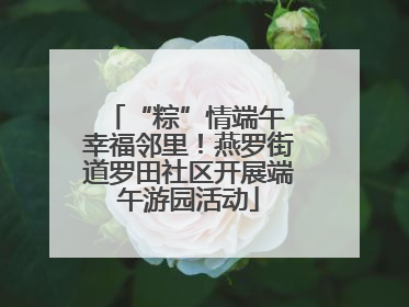 “粽”情端午 幸福邻里！燕罗街道罗田社区开展端午游园活动