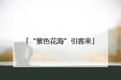 “紫色花海”引客来