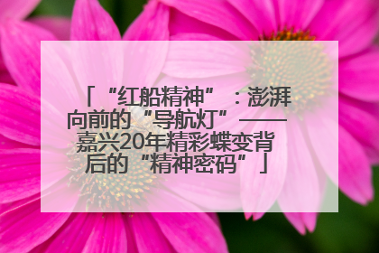 “红船精神”：澎湃向前的“导航灯”——嘉兴20年精彩蝶变背后的“精神密码”