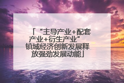 “主导产业+配套产业+衍生产业” 镇域经济创新发展释放强劲发展动能