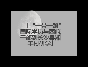 “一带一路”国际学员与西藏干部到长沙县湘丰村研学