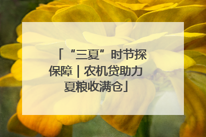 “三夏”时节探保障｜农机贷助力夏粮收满仓