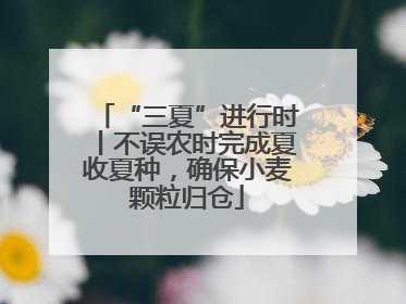 “三夏”进行时丨不误农时完成夏收夏种，确保小麦颗粒归仓