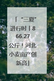 “三夏”进行时丨866.27公斤！河北小麦亩产创新高