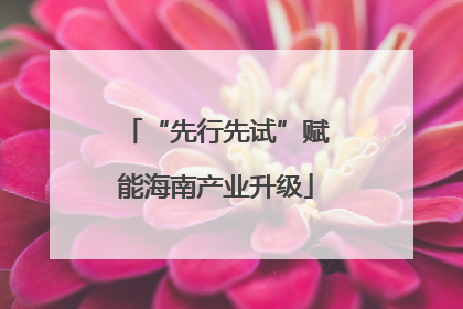 “先行先试”赋能海南产业升级