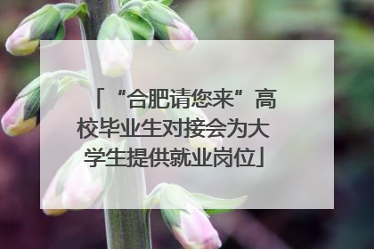“合肥请您来”高校毕业生对接会为大学生提供就业岗位