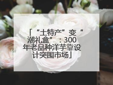 “土特产”变“潮礼盒”：300年老品种洋芋靠设计突围市场