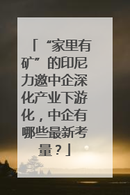 “家里有矿”的印尼力邀中企深化产业下游化，中企有哪些最新考量？