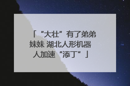 “大壮”有了弟弟妹妹 湖北人形机器人加速“添丁”