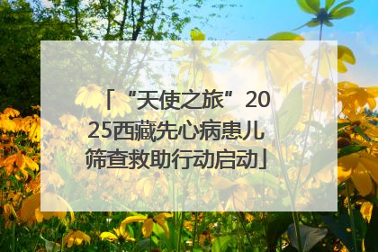 “天使之旅”2025西藏先心病患儿筛查救助行动启动