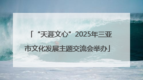 “天涯文心”2025年三亚市文化发展主题交流会举办