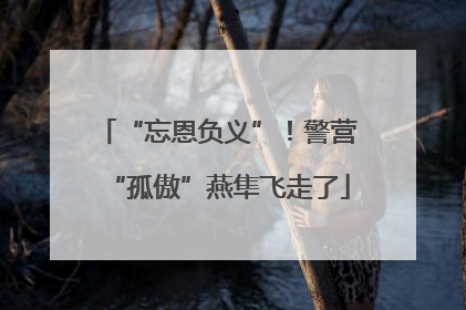 “忘恩负义”！警营“孤傲”燕隼飞走了