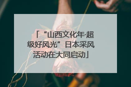 “山西文化年·超级好风光”日本采风活动在大同启动