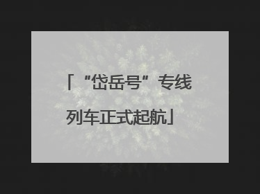 “岱岳号”专线列车正式起航