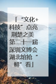 “文化+科技”点亮荆楚之美 第二十一届深圳文博会湖北馆抢“鲜”看