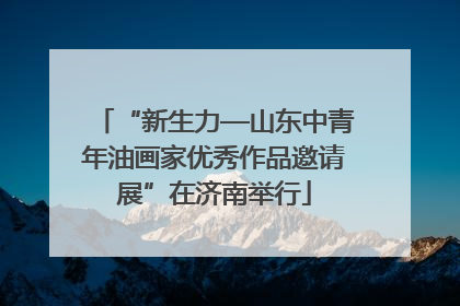 “新生力—山东中青年油画家优秀作品邀请展”在济南举行