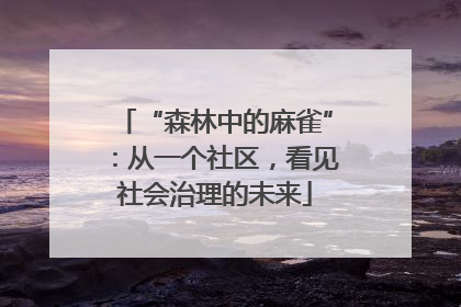 “森林中的麻雀”：从一个社区，看见社会治理的未来
