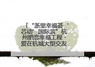 “浙里幸福荟‘芯动’国际滨”杭州婚恋幸福工程・爱在杭城大型交友活动甜蜜开启