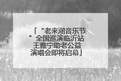 “老来潮音乐节”全国巡演临沂站 王雅宁助老公益演唱会即将启幕