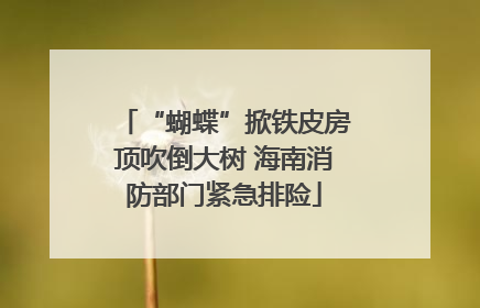 “蝴蝶”掀铁皮房顶吹倒大树 海南消防部门紧急排险