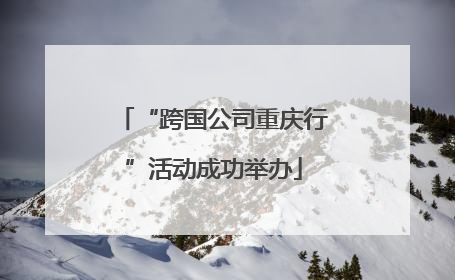 “跨国公司重庆行”活动成功举办