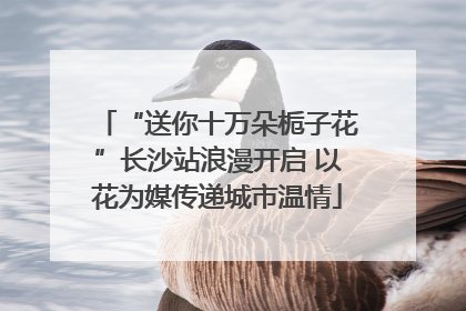 “送你十万朵栀子花”长沙站浪漫开启 以花为媒传递城市温情