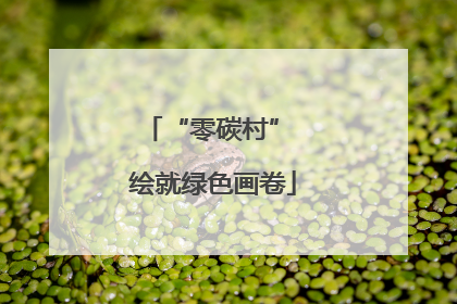 “零碳村” 绘就绿色画卷
