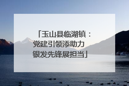 玉山县临湖镇：党建引领添助力 银发先锋展担当