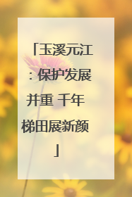 玉溪元江：保护发展并重 千年梯田展新颜