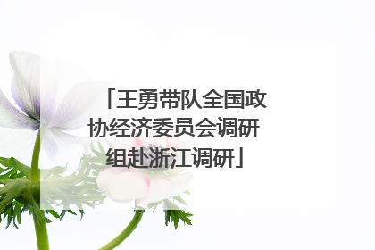 王勇带队全国政协经济委员会调研组赴浙江调研