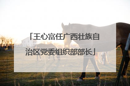 王心富任广西壮族自治区党委组织部部长