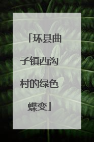 环县曲子镇西沟村的绿色蝶变
