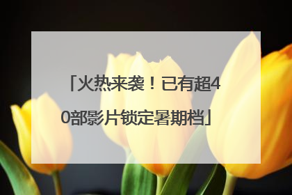 火热来袭！已有超40部影片锁定暑期档