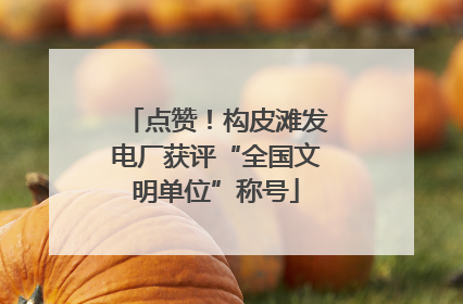 点赞！构皮滩发电厂获评“全国文明单位”称号