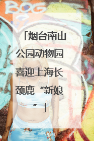 烟台南山公园动物园喜迎上海长颈鹿“新娘”