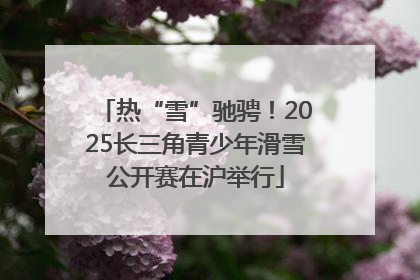 热“雪”驰骋！2025长三角青少年滑雪公开赛在沪举行