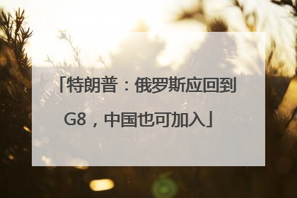 特朗普：俄罗斯应回到G8，中国也可加入