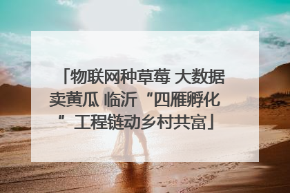 物联网种草莓 大数据卖黄瓜 临沂“四雁孵化”工程链动乡村共富