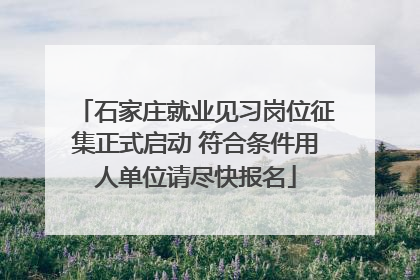 石家庄就业见习岗位征集正式启动 符合条件用人单位请尽快报名