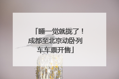 睡一觉就拢了！成都至北京动卧列车车票开售