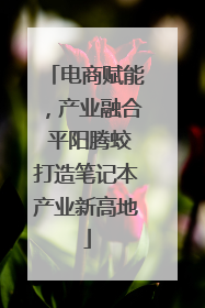 电商赋能，产业融合 平阳腾蛟打造笔记本产业新高地